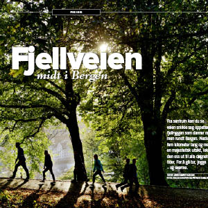 Fjellveien_VIOVER60-januar2018